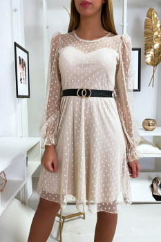 Robe bimatière manche transparente Beige