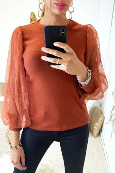 Top longue manche bishop Cognac